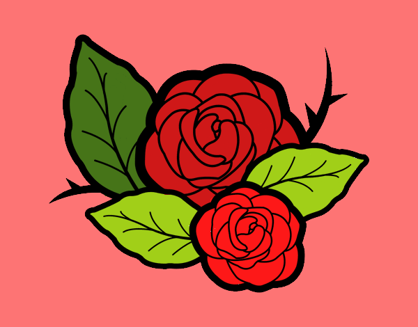 Dos rosas