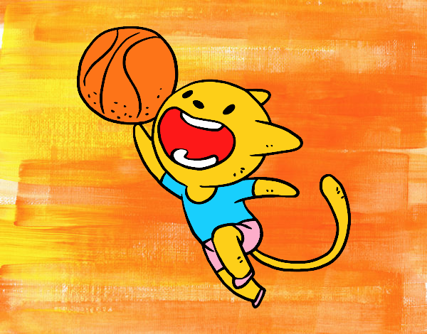 Gato jugando a baloncesto