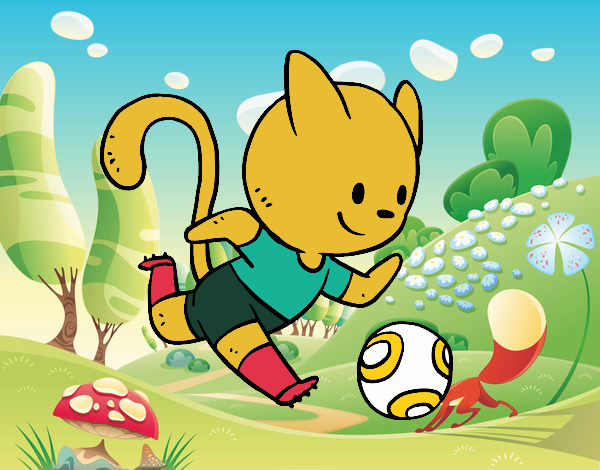 Gato jugando a fútbol