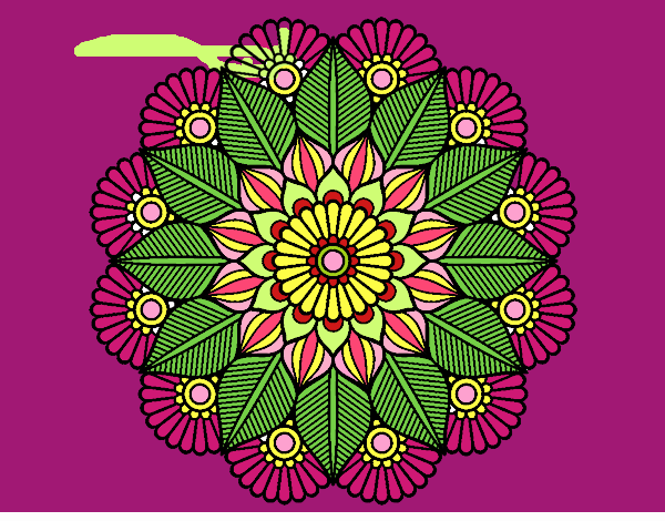 Mandala jardín vegetal