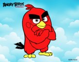 Red de Angry Birds