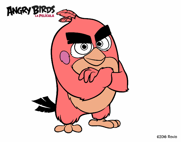 Red de Angry Birds