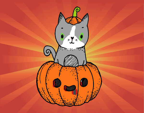 Un gatito de Halloween