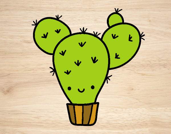 Cactus nopal