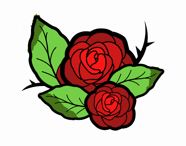 Dos rosas