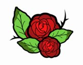 Dos rosas