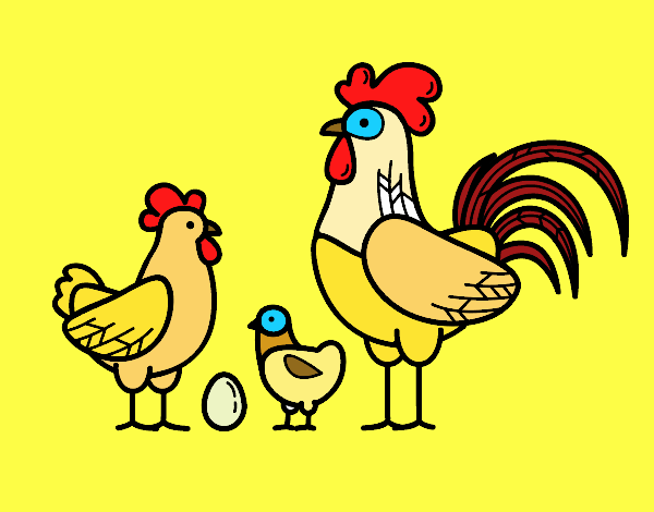 Familia gallina