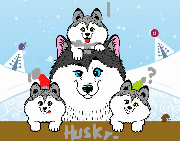 Familia Husky