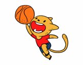 Gato jugando a baloncesto