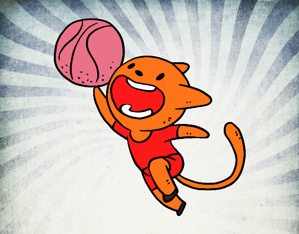 Gato jugando a baloncesto