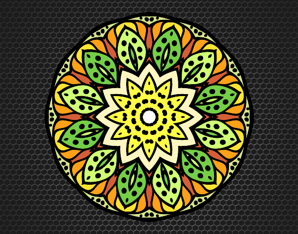 Mandala naturaleza