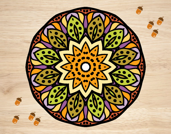 Mandala naturaleza