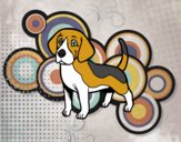 Perro Beagle