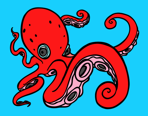 Pulpo enfadado