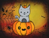 Un gatito de Halloween