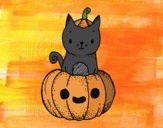 Un gatito de Halloween