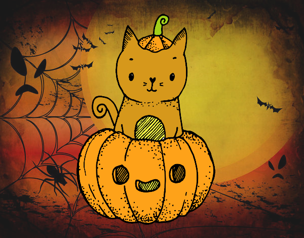 halloween gatuno