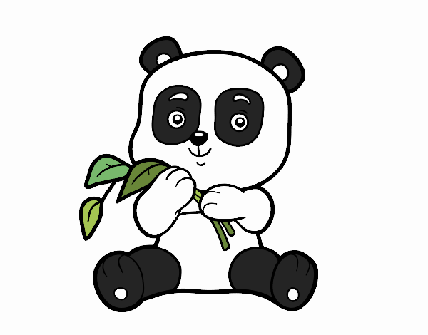 Un oso panda