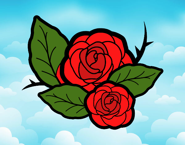 Dos rosas