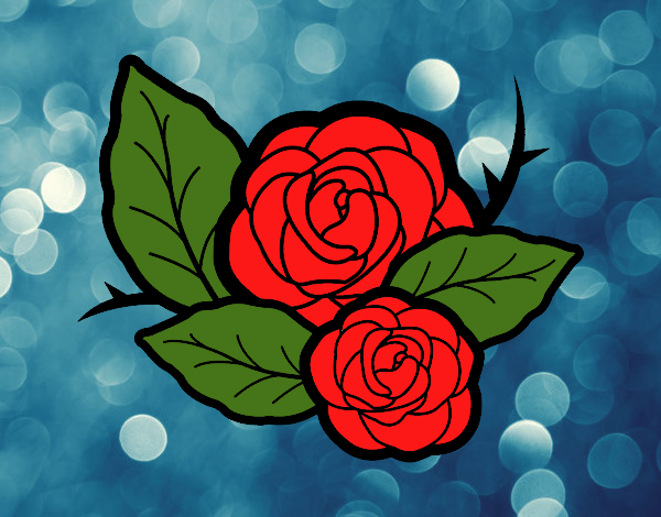 Dos rosas