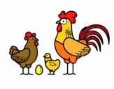 Familia gallina