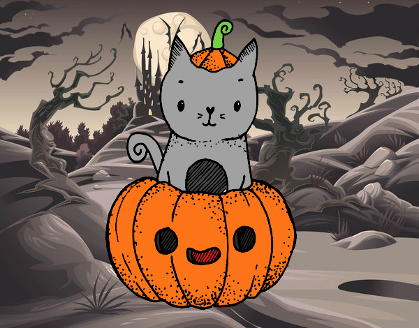 Un gatito de Halloween