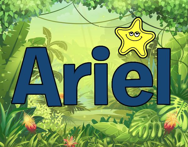 Ariel