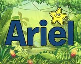 Ariel