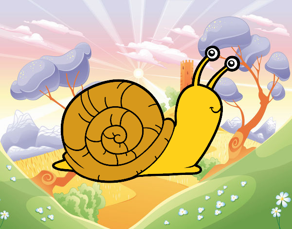 El caracol