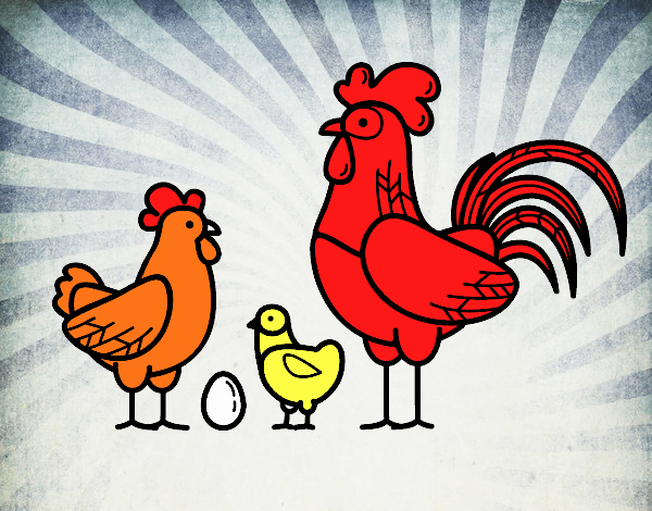 Familia gallina