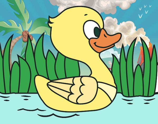 Patito de río