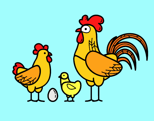 Familia gallina