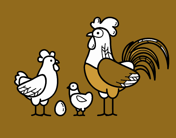 Familia gallina