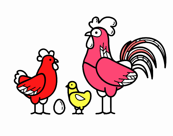 Familia gallina