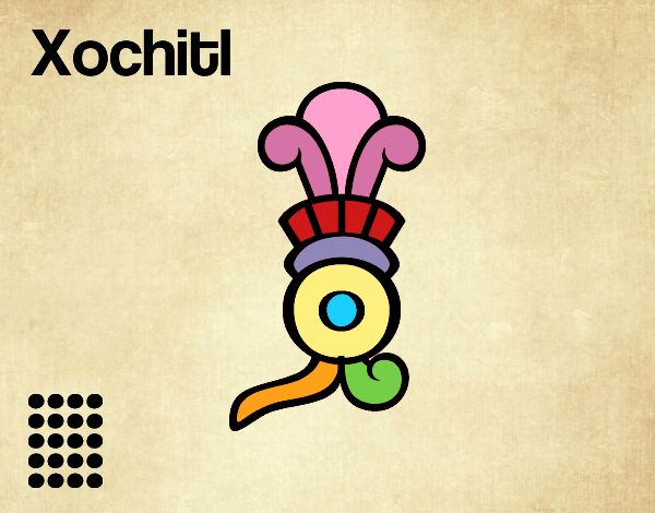 Los días aztecas: la flor Xochitl