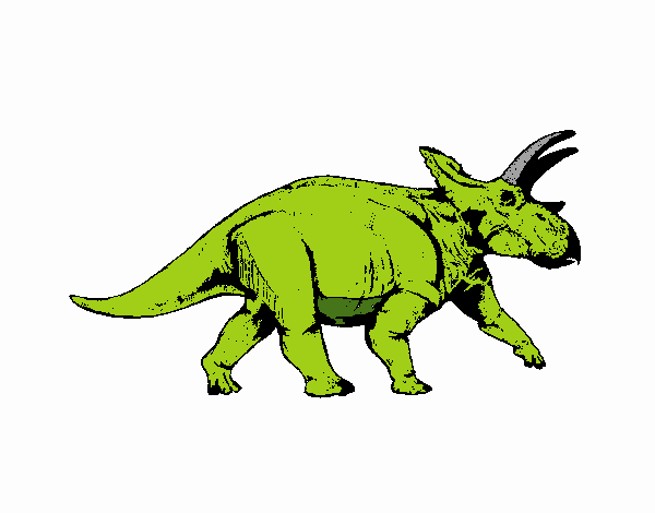 Triceratops 1