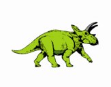 Triceratops 1