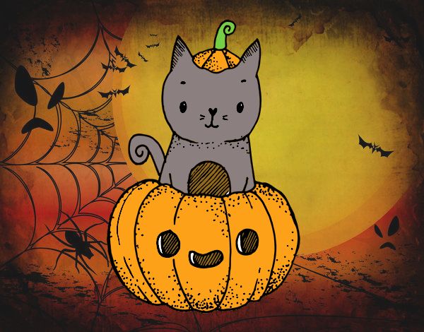 Un gatito de Halloween