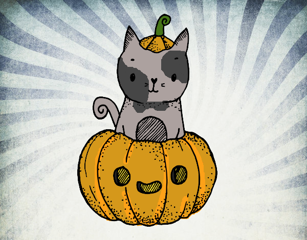 Un gatito de Halloween