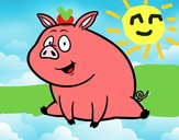 Cerdito de granja