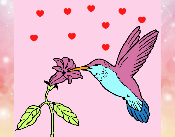 Colibrí y una flor