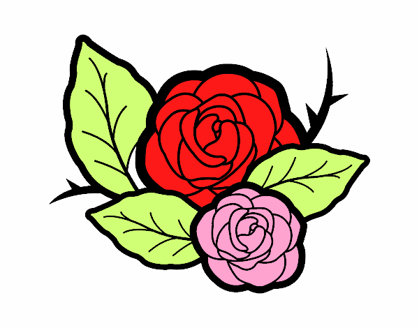 Dos rosas