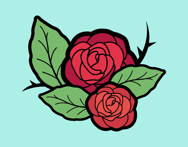 Dos rosas