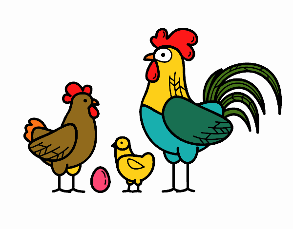 Familia gallina