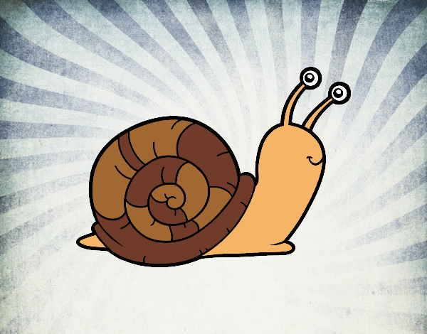 Un caracol