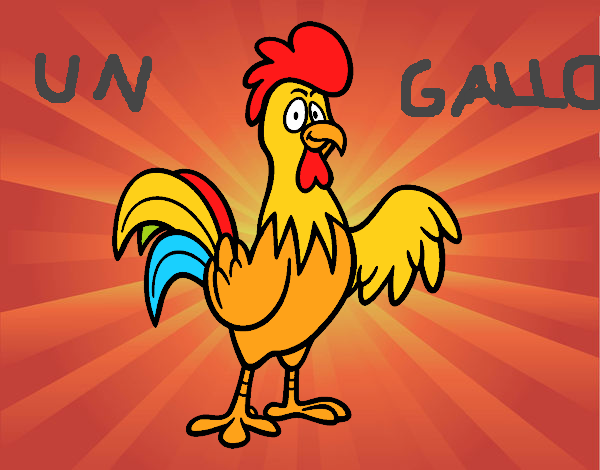 Un gallo de corral