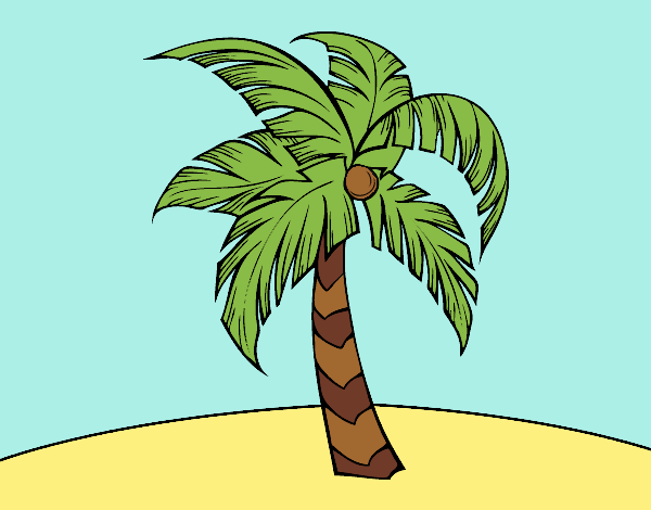 Una palmera