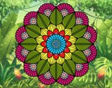 Mandala jardín vegetal