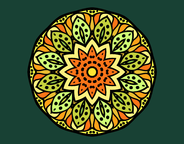 Mandala naturaleza