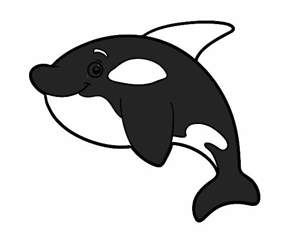 Orca joven